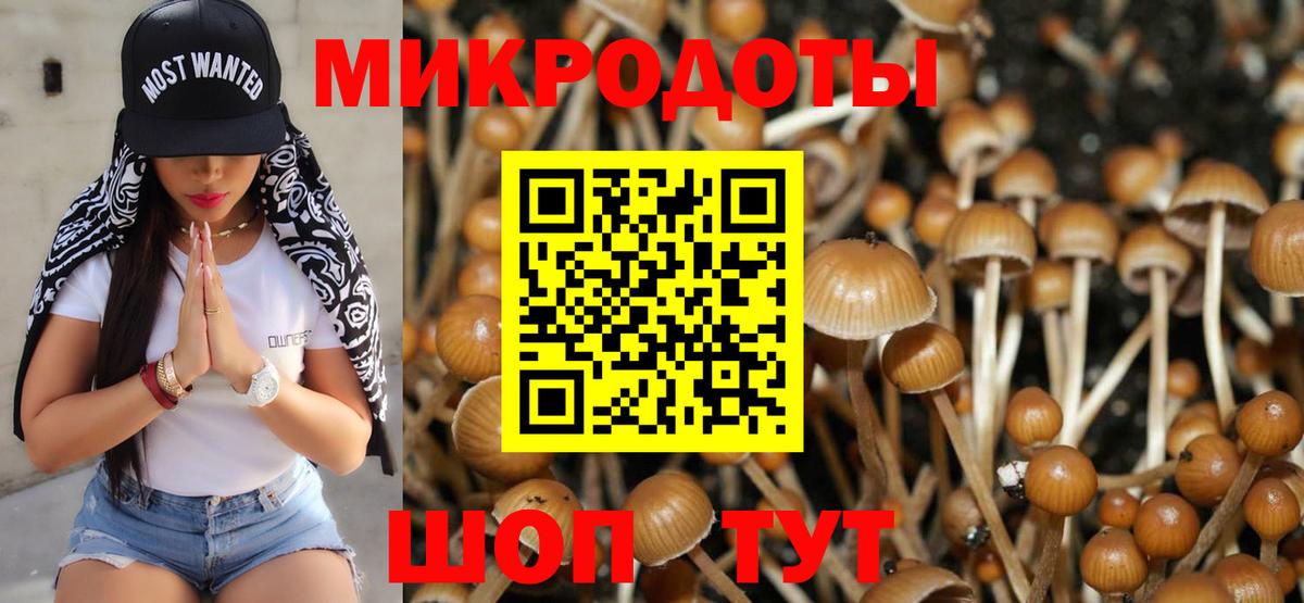 Псилоцибиновые грибы Cubensis Рыбинск