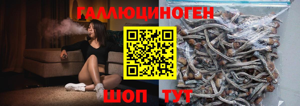 Рыбинск  Галлюциногенные грибы мицелий  Псилоцибиновые грибы ЛСД  купить закладку  Вход с VPN 